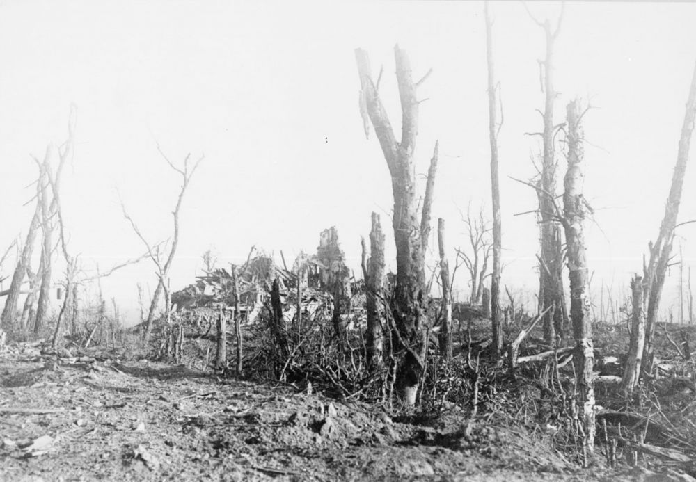 Shattered trees surround ruins of the Polderhoek Chateau, July-September 1917.